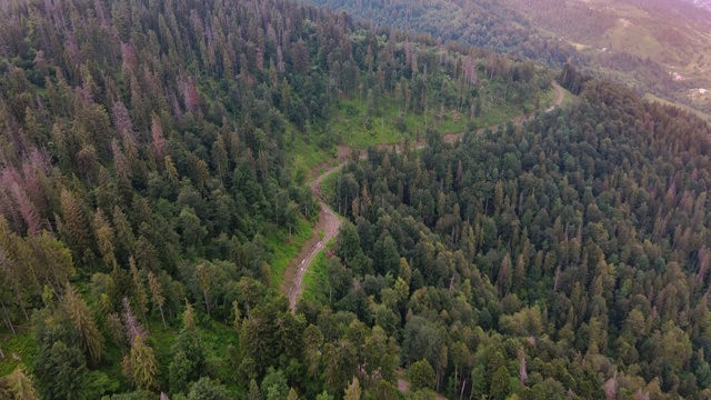 无人机视图:在夕阳柔和的光线下飞过松树林和乡村道路。背景是山脉。视频下载