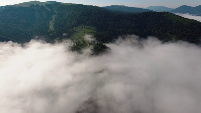 高山森林的航拍镜头。无人机飞过群山。山鸟瞰图。喀尔巴阡山,乌克兰视频下载