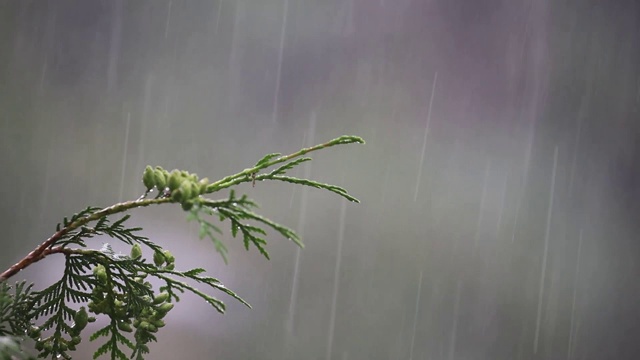 下大雨,天气不好视频素材