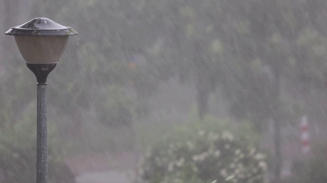 下大雨,天气不好视频下载