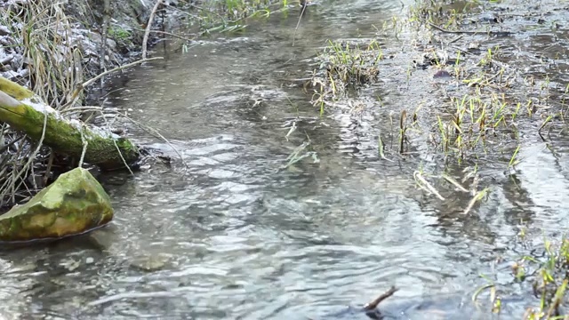 清澈的泉水流淌着绿草视频素材