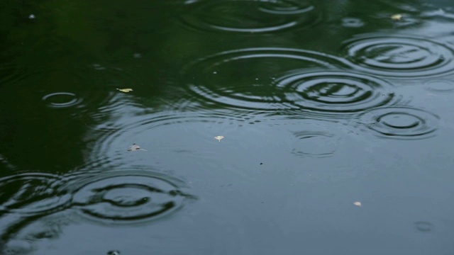 雨滴落入水中视频素材