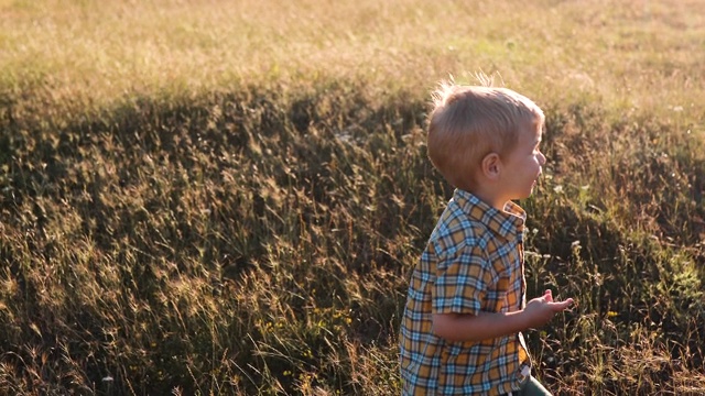 一个可爱的小男孩穿着五颜六色的衬衫跑过草地。孩子在野外草地上奔跑。一家人在新鲜空气中散步。当地的徒步旅行视频素材