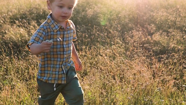 一个可爱的小男孩穿着五颜六色的衬衫跑过草地。孩子在野外草地上奔跑。一家人在新鲜空气中散步。当地的徒步旅行视频素材