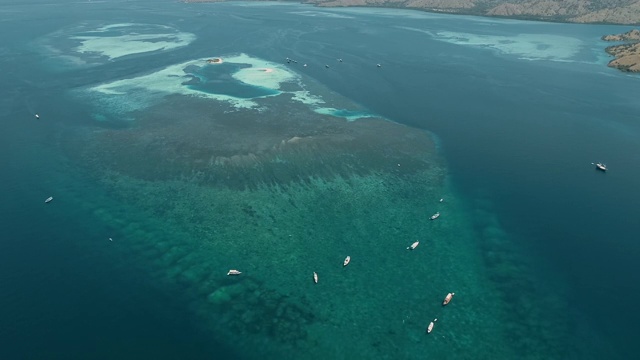 蝠鲼。蓝色泻湖弗洛雷斯热带天堂。纳闽岛浅滩。无人机空中视频素材