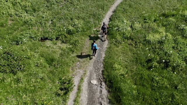 几个徒步旅行者在山里的小路上散步视频素材