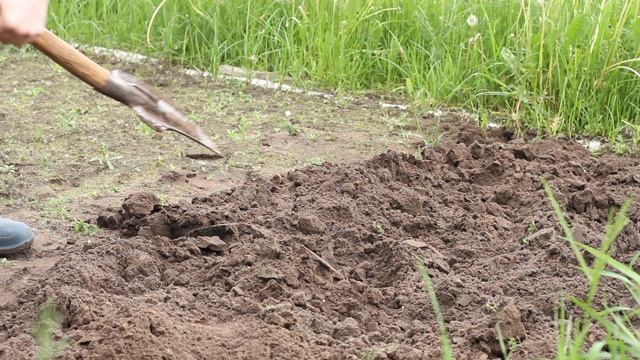 工人在菜园里用铁锹挖土。男农民在橡胶靴子挖掘视频素材