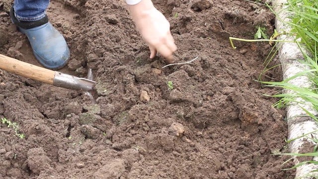 工人在菜园里用铁锹挖土。男农民在橡胶靴子挖掘视频素材