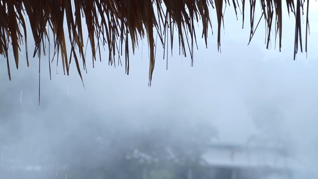 雨水从芦苇屋顶落下。热带雨。雨点挂在长满草的屋顶上。背景是一片雨林。视频素材