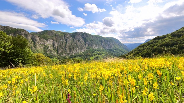 山脉夏日时光流逝视频素材