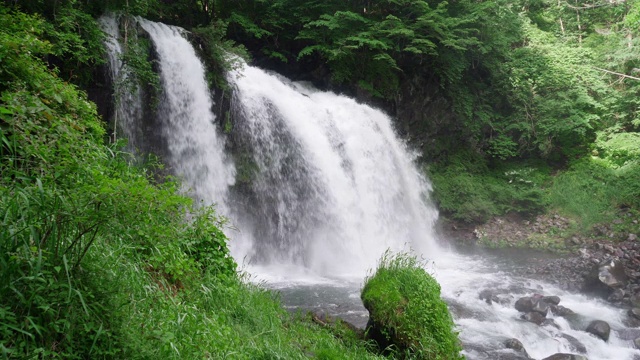 初夏风景瀑布与繁茂的树叶(实时/缩小/音频)视频素材