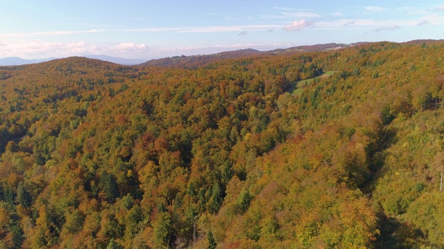 航拍:在Kranjska Gora茂密的森林上空，你可以看到一片空旷的牧场视频素材