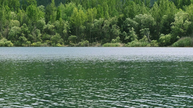 美丽的湖和松林景色视频素材