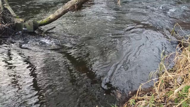 城市河水湍急，时间流逝4K。环境污染问题概念。视频素材