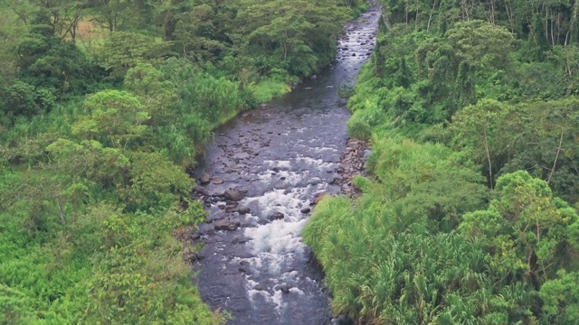 河流穿过热带雨林，阿雷纳尔火山国家公园，哥斯达黎加。空中无人机视图视频素材