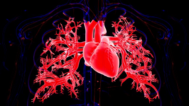 心脏跳动解剖医学概念3D视频素材