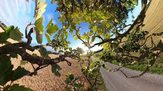 一个充满活力的夏季旅行视频下载