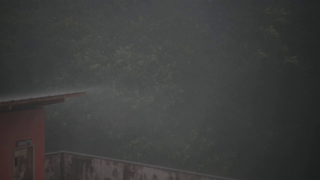 暴雨恶劣天气以建筑和树木为背景视频素材