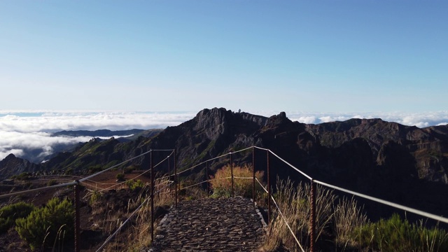 这是一只成年雄鸟登上马德拉岛最高峰“Pico Ruivo”的照片。视频素材