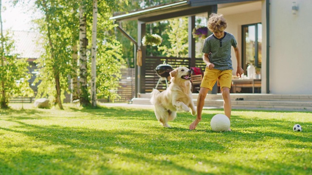 英俊的小男孩和快乐的金毛猎犬在后院草坪踢足球。他喜欢宠物，踢足球，和他忠诚的狗朋友玩得很开心。田园诗般的夏天的房子。慢动作视频素材