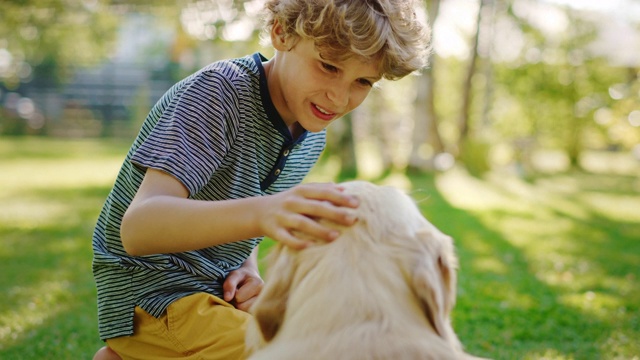 小男孩和他忠诚的金毛猎犬玩耍，抓他的头，爱抚，拥抱。阳光明媚的一天，在户外玩视频素材