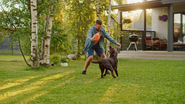 英俊的男人和快乐的棕色拉布拉多猎犬在后院草坪上玩接球。在夏季别墅的后院，人们与忠诚的诺贝尔血统狗在户外玩耍。慢动作镜头视频素材