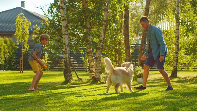 英俊的父亲和儿子与忠诚的家庭朋友金毛猎犬玩接球。家庭花时间一起训练狗。阳光明媚的一天，田园般的郊区家庭后院。慢动作镜头视频素材