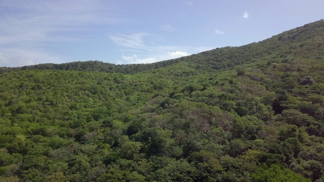 无人机拍摄的山和绿色植物周围的Anse le Roche海滩，卡里亚库，格林纳达，西印度群岛，加勒比，中美洲视频素材