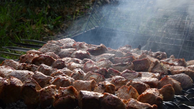 在绿色户外背景的木炭烤架上烤猪肉串上的烟和气味视频素材