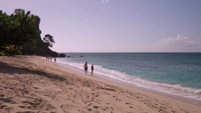 海滩海岸线，格林纳达，西印度群岛，加勒比，中美洲视频素材