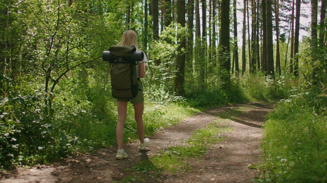 一位年轻的女游客背着背包穿过森林，欣赏大自然的美景。旅游和徒步探险。穿着短裤的漂亮苗条的女人穿过树林视频素材