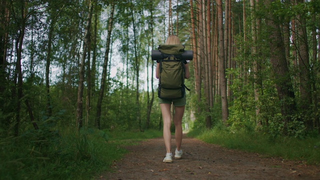 从后面看，一个背着背包的女性旅行者手里拿着手机在森林里行走。社交网络导航和信使。用你的手机在树林里散步视频素材