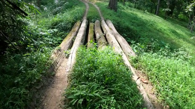 在通往森林的土路上开车视频素材