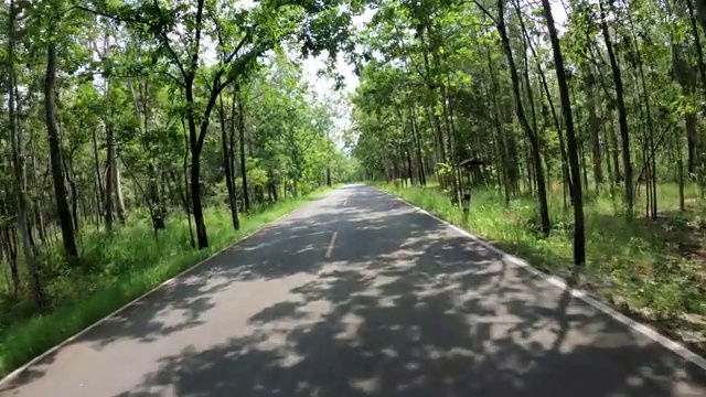 驱车行驶在乡间小路上，进入森林视频素材