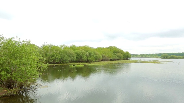 河景海鸥湾视频素材