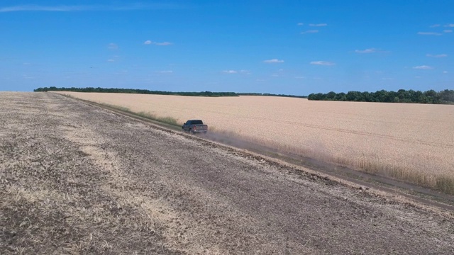 航拍的黑色皮卡在麦田附近行驶的路线。在空旷的乡村公路上行驶的汽车。在夏天的乡村路上开车飞过。农业的概念。视频素材