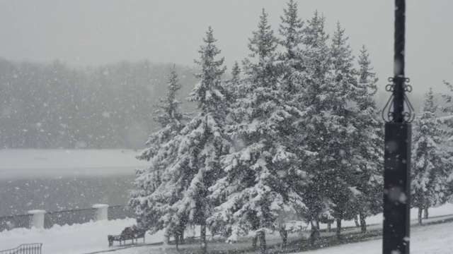 一个空的城市公园正在下雪。圣诞树上覆盖着雪视频下载