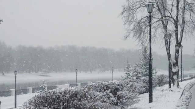 雪落在空旷的城市公园。树上雾蒙蒙的，河里结了冰视频下载