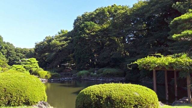 东京新宿区的一个大日本花园视频素材