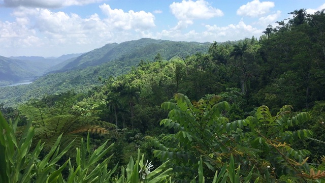 古巴Escambray山的Hanabanilla瞭望台视频素材