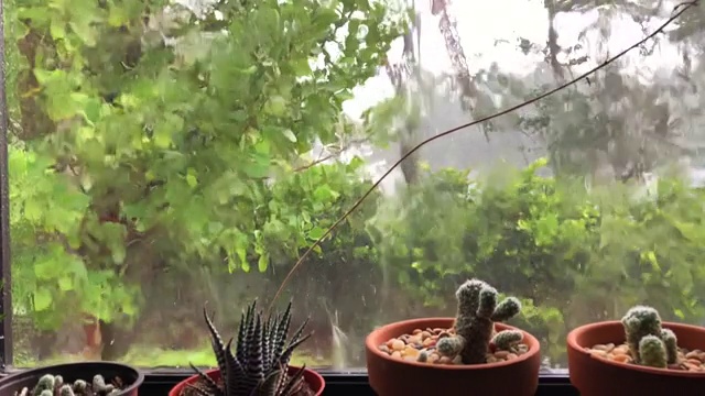 雨落在房子窗户上，俯瞰后院视频素材