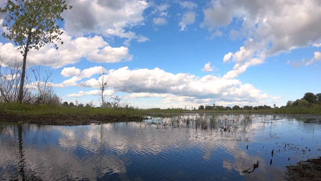 风景湿地时光流逝视频素材