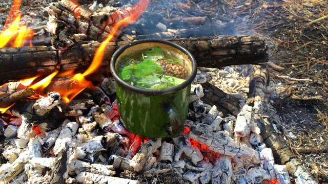 篝火火焰里的一杯茶。在野外用火烹饪食物。森林茶在壁炉里，炭火上。视频素材