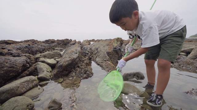 一个男孩在海滩上寻找生物视频素材