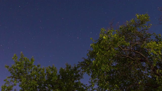 夜晚的星空视频素材