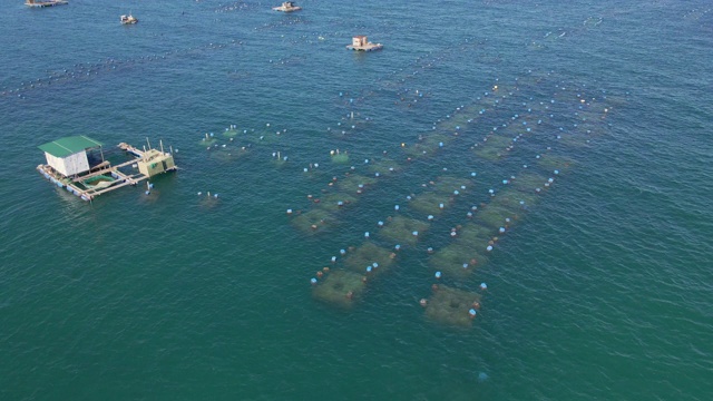 航拍热带公海上的大型海洋农场。海洋农业的概念视频素材