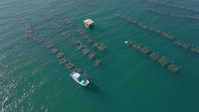 航拍热带公海上的大型海洋农场。海洋农业的概念视频素材