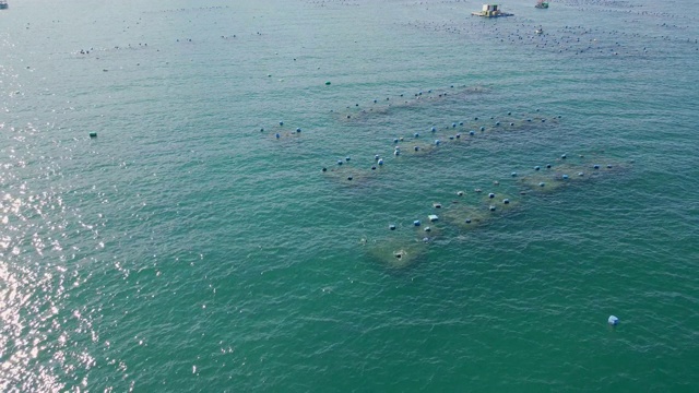 航拍热带公海上的大型海洋农场。海洋农业的概念视频素材