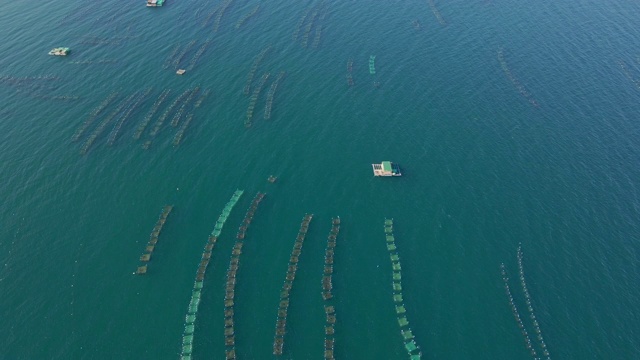 航拍热带公海上的大型海洋农场。海洋农业的概念视频素材