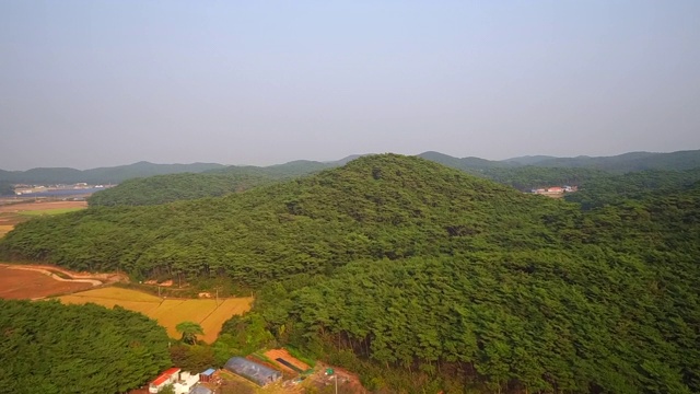 安明岛安明岛松林和安明岛海滩，忠清南道视频素材